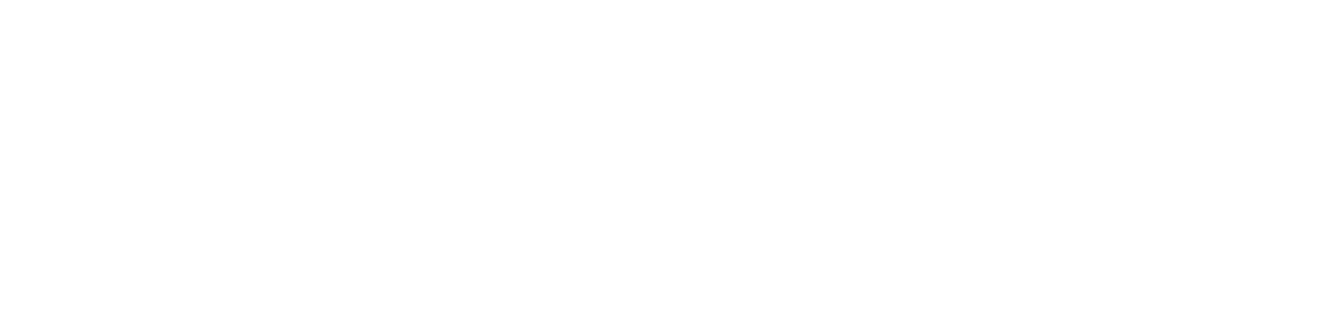 Media Partnership